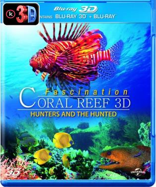 Fascination coral reef (3D) Por torrent