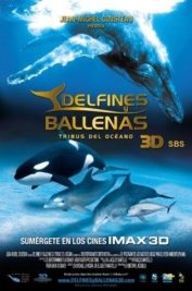 Delfines y ballenas (3D)
