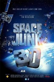 Space Junk (3D)